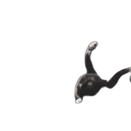 shoes, staff, jewelry, weapon transparent PNG cut-out