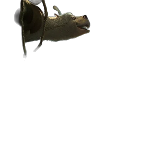 dragon, animal, creature, mask transparent PNG cut-out