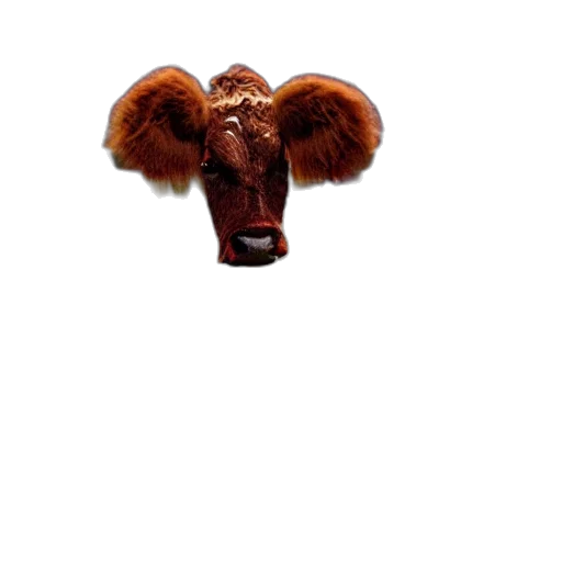 animal, face, mask, creature transparent PNG cut-out