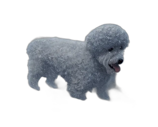 animal, creature, 3d render, photorealistic transparent PNG cut-out