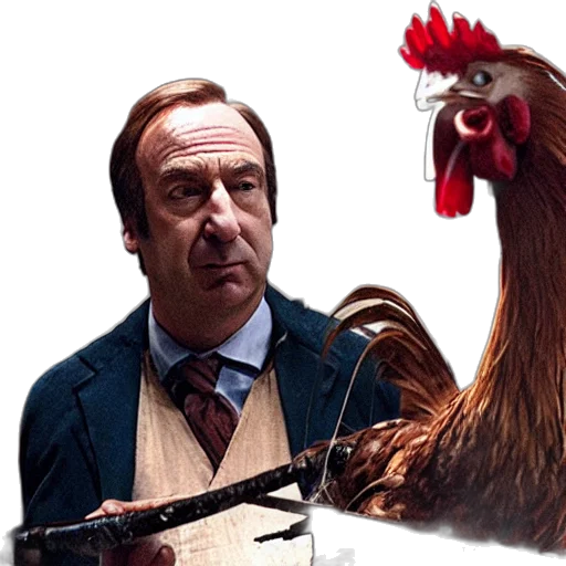 animal, saul, goodman, rooster transparent PNG cut-out