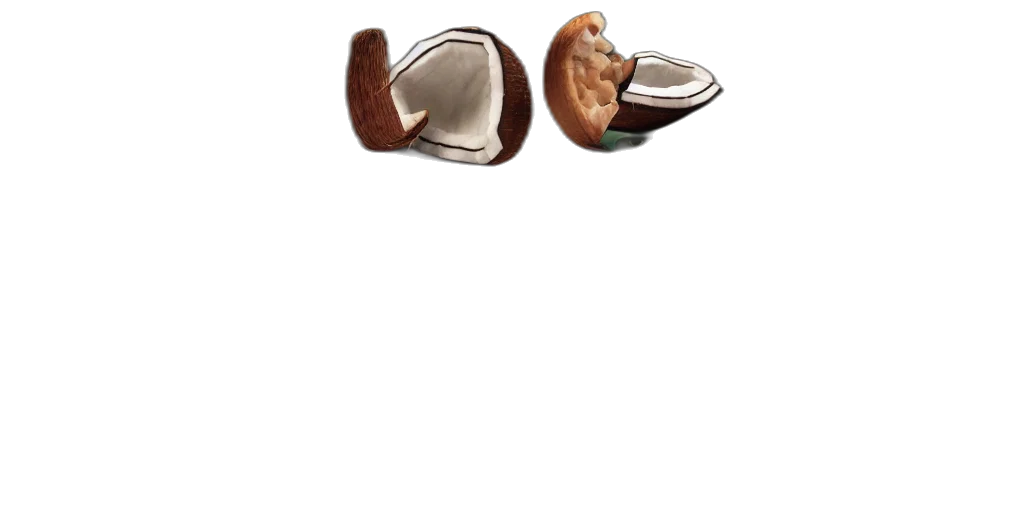 jewelry, shoes, food, furniture transparent PNG cut-out