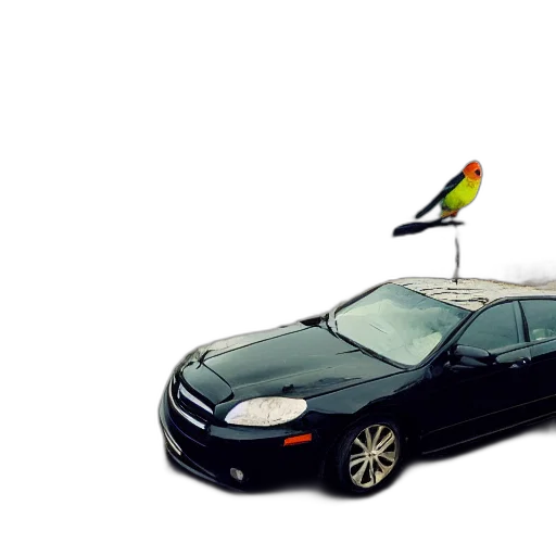car, umbrella, hat, staff transparent PNG cut-out