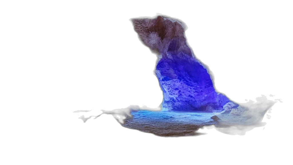 dragon, animal, creature, hair transparent PNG cut-out