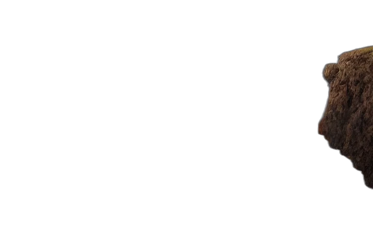 staff, face, monochrome, pastel transparent PNG cut-out