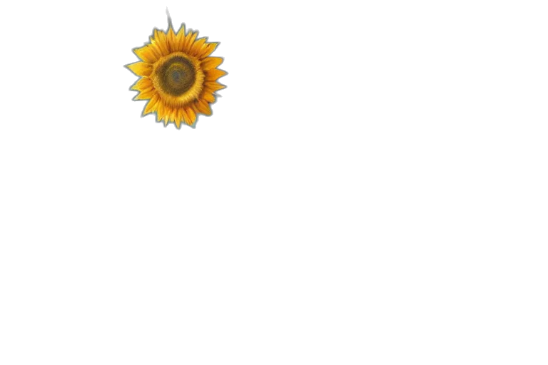 flower, crown, weapon, jewelry transparent PNG cut-out
