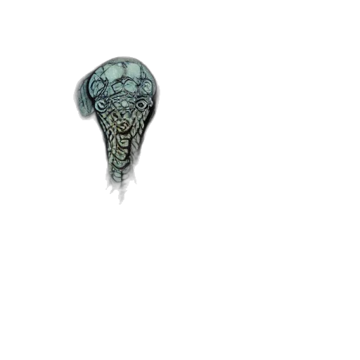 umbrella, creature, animal, staff transparent PNG cut-out