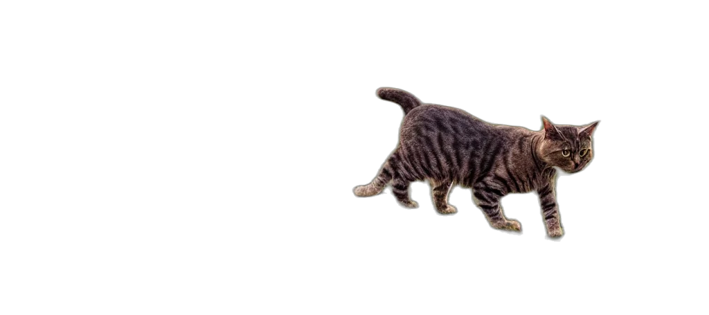 animal, creature, staff, weapon transparent PNG cut-out