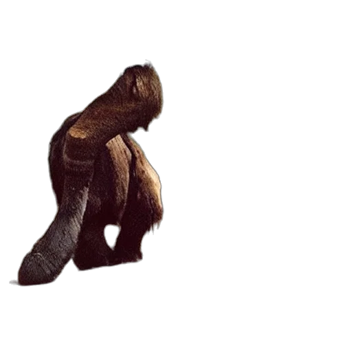 animal, creature, staff, dragon transparent PNG cut-out