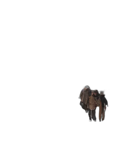 animal, creature, hair, dragon transparent PNG cut-out