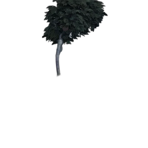 tree, hat, staff, crown transparent PNG cut-out