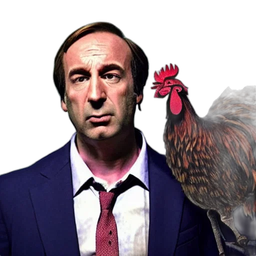 animal, saul, goodman, rooster transparent PNG cut-out