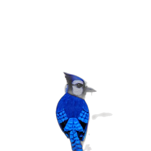 animal, creature, robot, staff transparent PNG cut-out