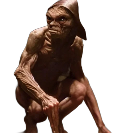 creature, animal, face, staff transparent PNG cut-out