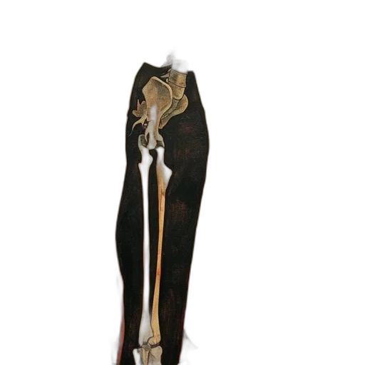 staff, dress, jewelry, sword transparent PNG cut-out
