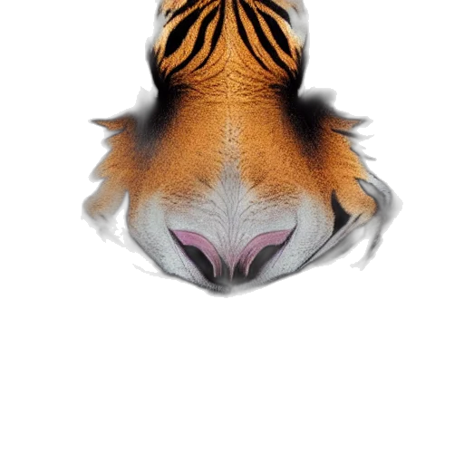 animal, creature, dragon, mask transparent PNG cut-out