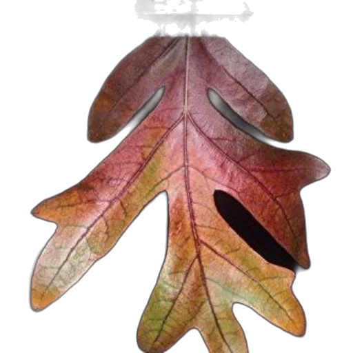 jewelry, tree, crown, umbrella transparent PNG cut-out