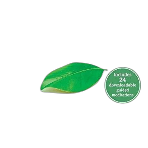 food, jewelry, staff, green transparent PNG cut-out