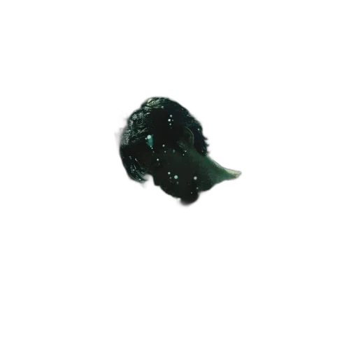 hat, crown, mask, hair transparent PNG cut-out
