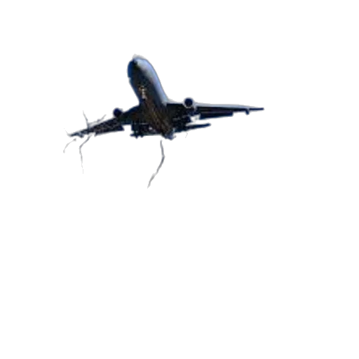 dragon, animal, creature, weapon transparent PNG cut-out
