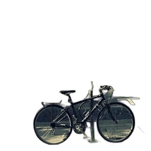 weapon, animal, car, umbrella transparent PNG cut-out