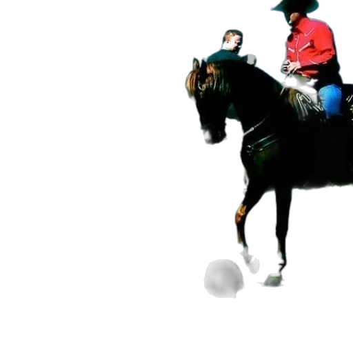 staff, animal, hat, photorealistic transparent PNG cut-out