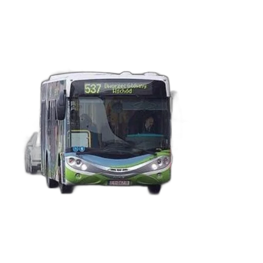 3d render, photorealistic, green, white transparent PNG cut-out
