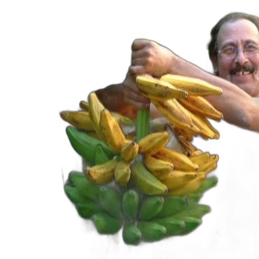 food, crown, staff, jewelry transparent PNG cut-out