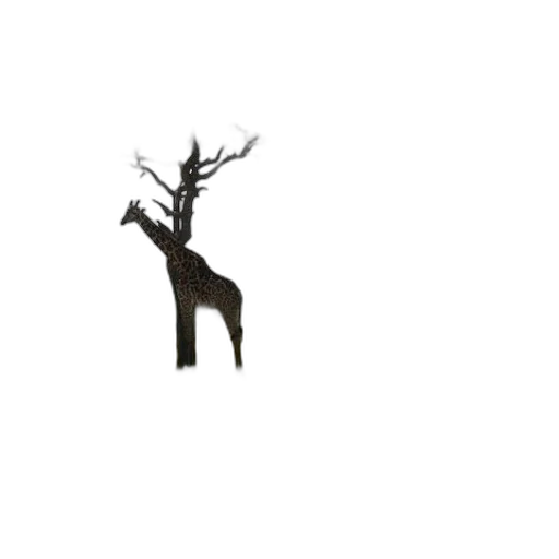 animal, creature, tree, crown transparent PNG cut-out