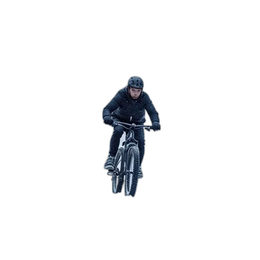 jacket, animal, creature, pixel art transparent PNG cut-out