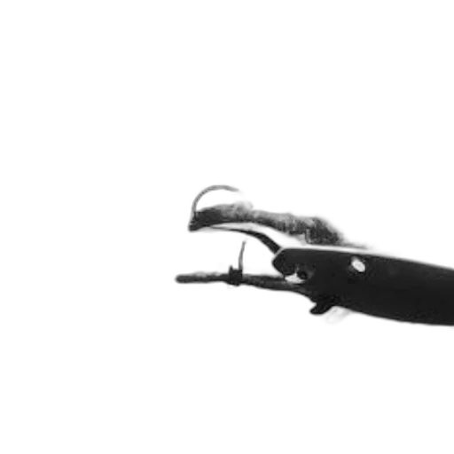 weapon, staff, sword, car transparent PNG cut-out