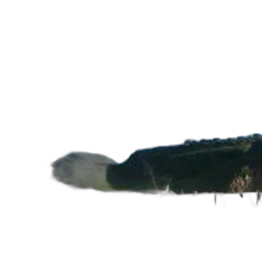 sword, weapon, dragon, staff transparent PNG cut-out