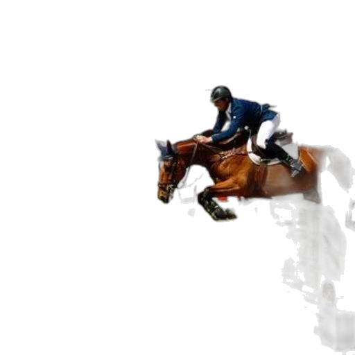 animal, photorealistic, pixel art, rider transparent PNG cut-out