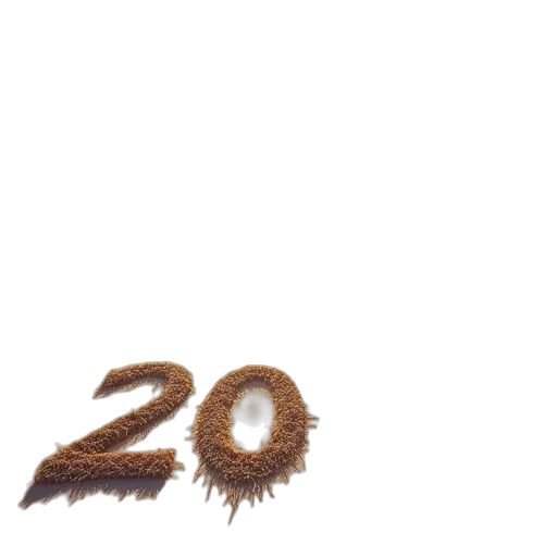 hair, animal, food, creature transparent PNG cut-out