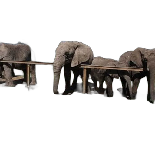 furniture, animal, concept art, 3d render transparent PNG cut-out
