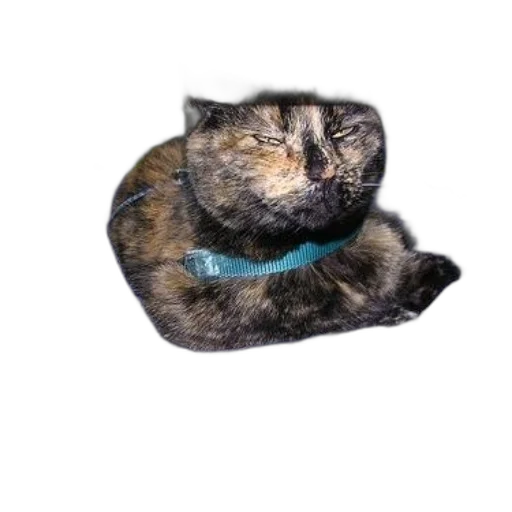 staff, animal, creature, jewelry transparent PNG cut-out