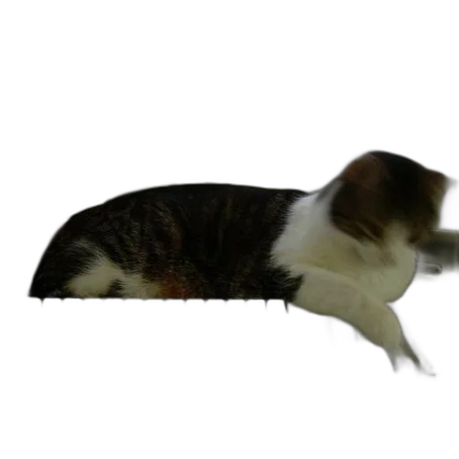 animal, creature, staff, weapon transparent PNG cut-out
