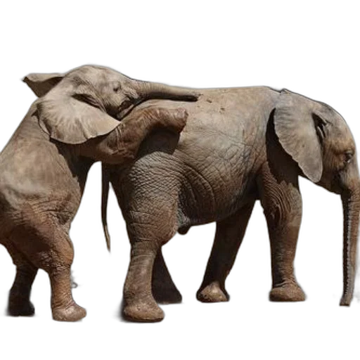 animal, creature, 3d render, concept art transparent PNG cut-out