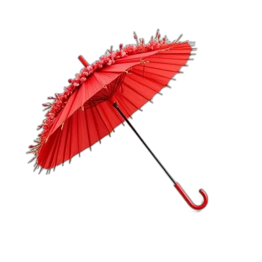 umbrella, staff, weapon, hat transparent PNG cut-out