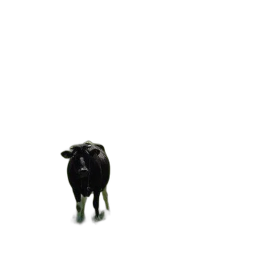 animal, creature, food, face transparent PNG cut-out