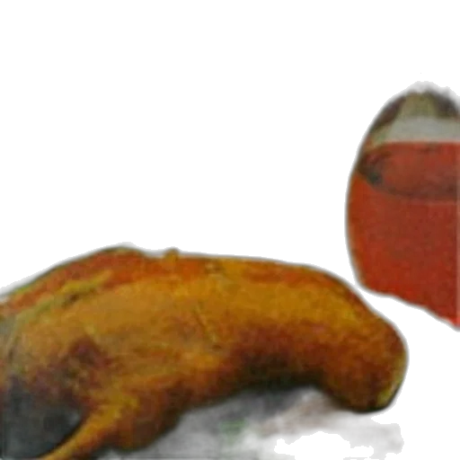 food, weapon, staff, animal transparent PNG cut-out