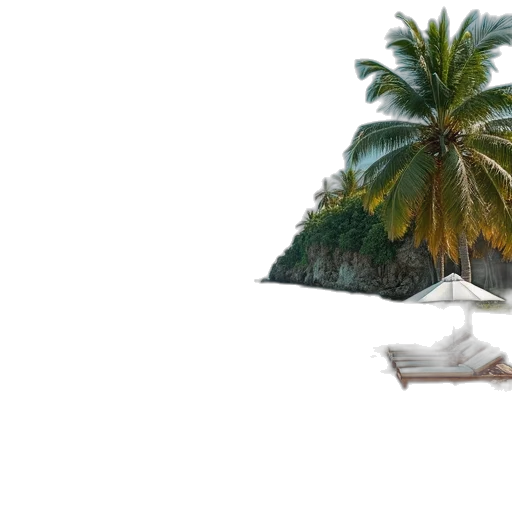 tree, hat, umbrella, animal transparent PNG cut-out