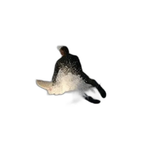 animal, hat, shoes, jewelry transparent PNG cut-out