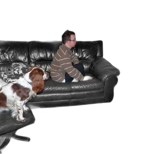 furniture, staff, animal, creature transparent PNG cut-out