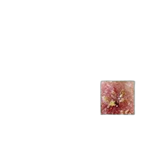 flower, jewelry, crown, food transparent PNG cut-out
