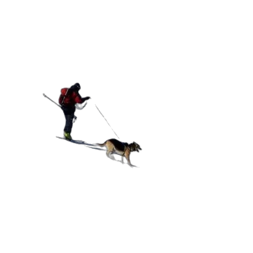 staff, animal, pixel art, concept art transparent PNG cut-out