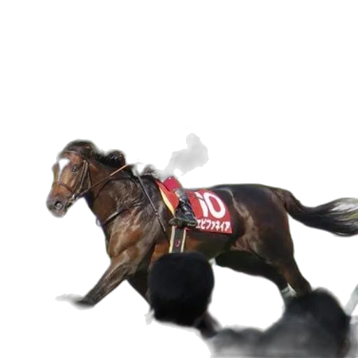 animal, photorealistic, 3d render, concept art transparent PNG cut-out
