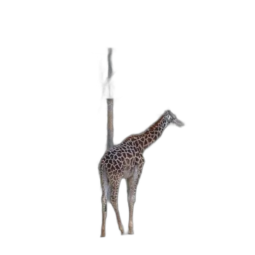 animal, staff, sword, creature transparent PNG cut-out