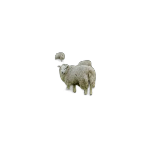 animal, creature, jewelry, furniture transparent PNG cut-out
