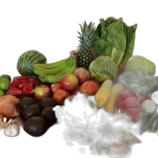 food, photorealistic, variety, fresh transparent PNG cut-out